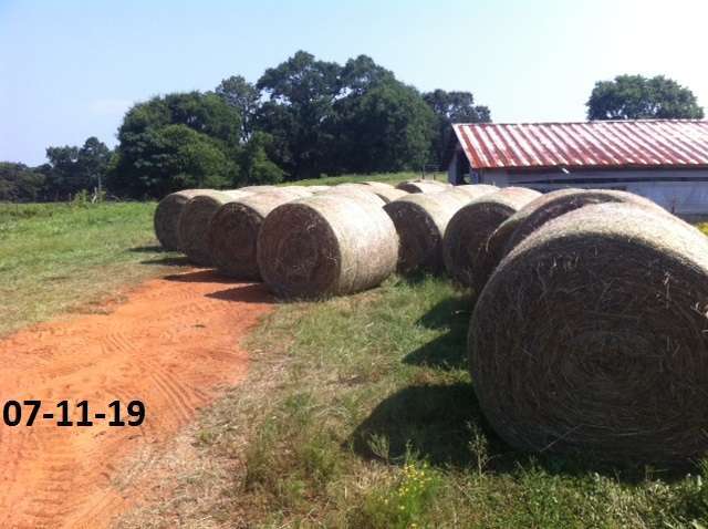 Attached picture 80 bales.jpg